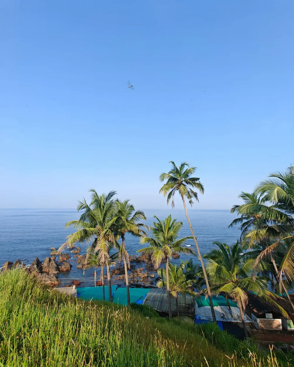 Goa, Sun, Sand & Serenity